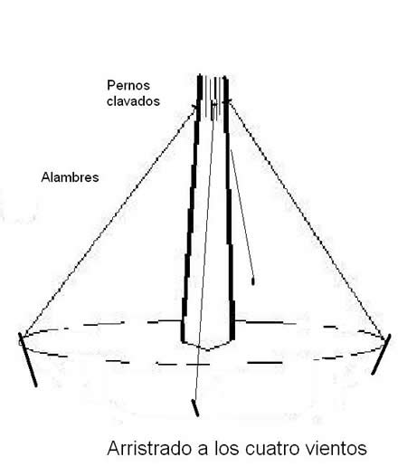 Algunas consideraciones técnicas para el trasplante de grandes árboles en  la llanura pampeana - Facultad de Ciencias Agrarias - UNR